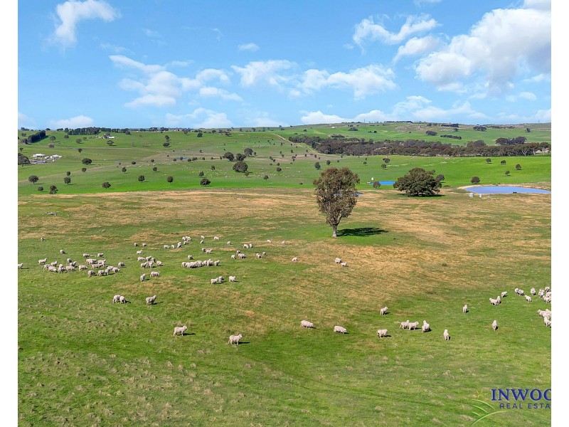 408 Tapscotts Road, Mount Pleasant SA 5235