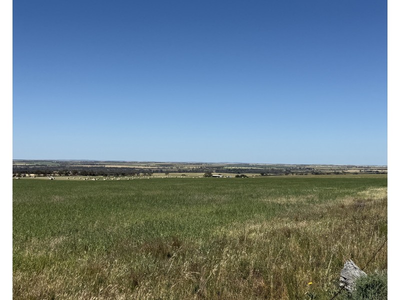 486 & 487 Three Chain Road, Cambrai SA 5353