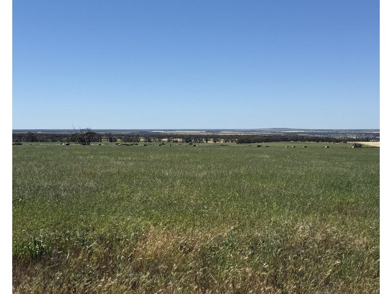 486 & 487 Three Chain Road, Cambrai SA 5353