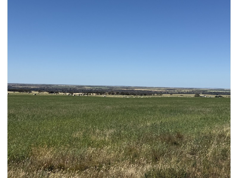 486 & 487 Three Chain Road, Cambrai SA 5353