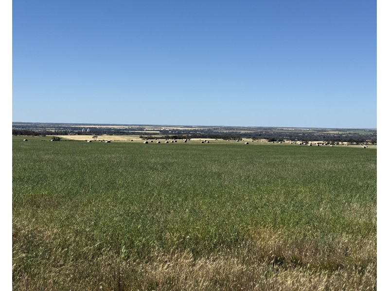 486 & 487 Three Chain Road, Cambrai SA 5353