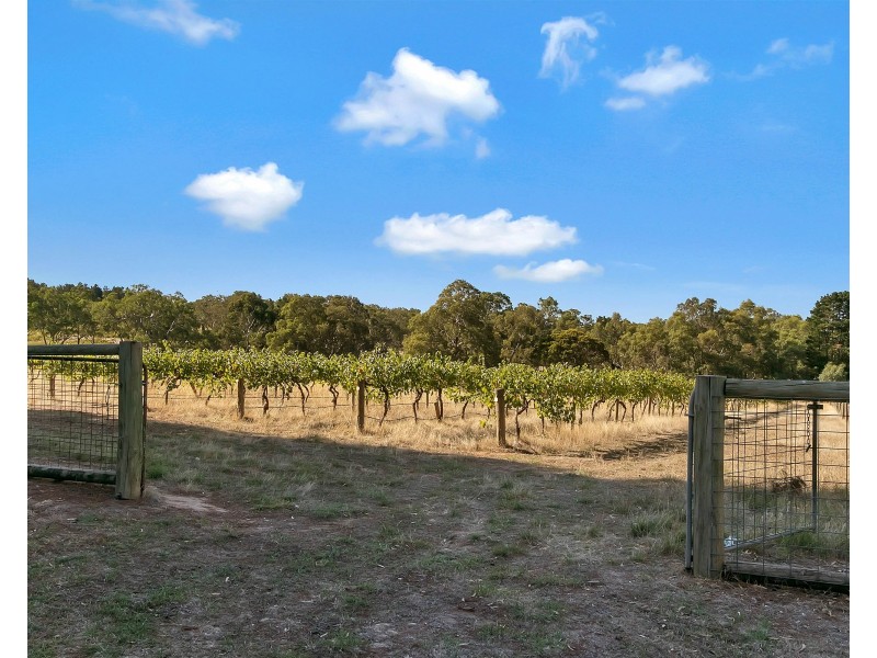 274 Laubes Road, Springton SA 5235