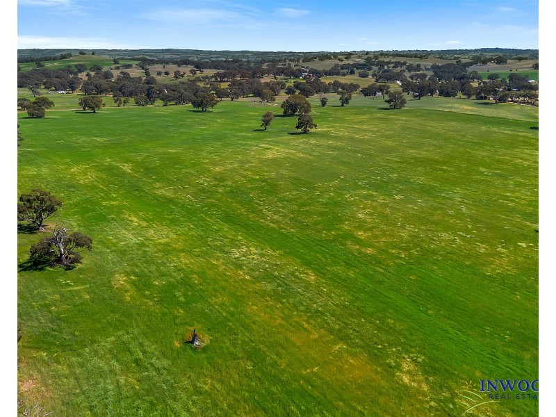 52 Jutland Road, Springton SA 5235