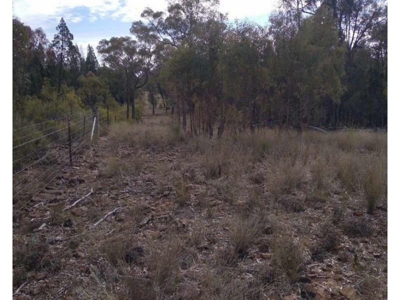 Lot 27 Premer Road, Premer NSW 2381