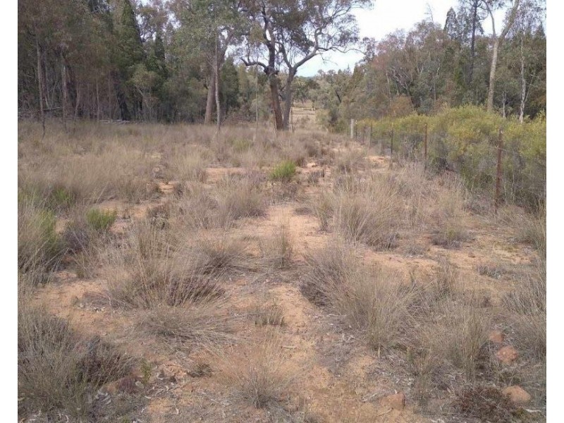 Lot 27 Premer Road, Premer NSW 2381