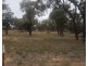 Lot/28 Premer Road, Premer NSW 2381