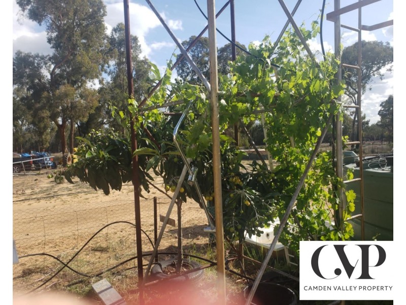 Lot/28 Premer Road, Premer NSW 2381