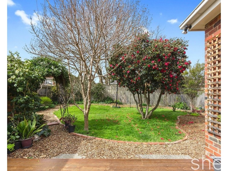 87 Summerhill Road, Glen Iris VIC 3146