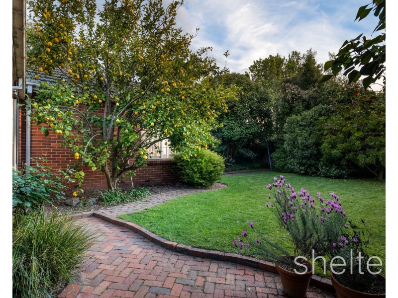 8 Oliver Street, Ashburton VIC 3147