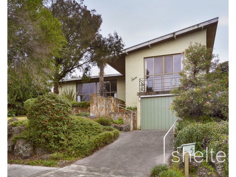 5 Richards Avenue, Glen Iris VIC 3146