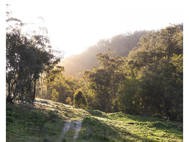 136 Totnes Valley Road, Mudgee NSW 2850