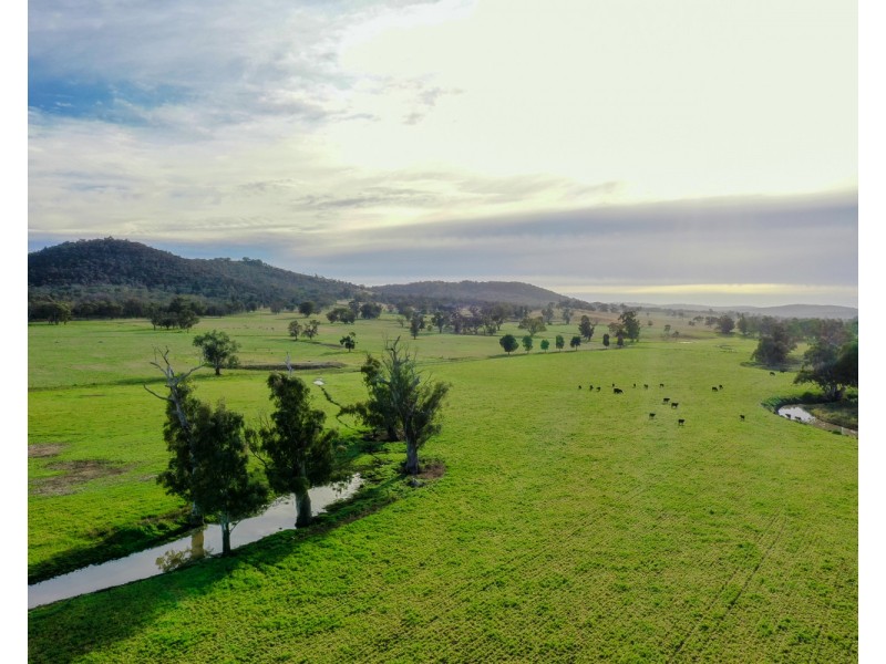 “Pine Ridge” Narangarie Road, Dunedoo NSW 2844