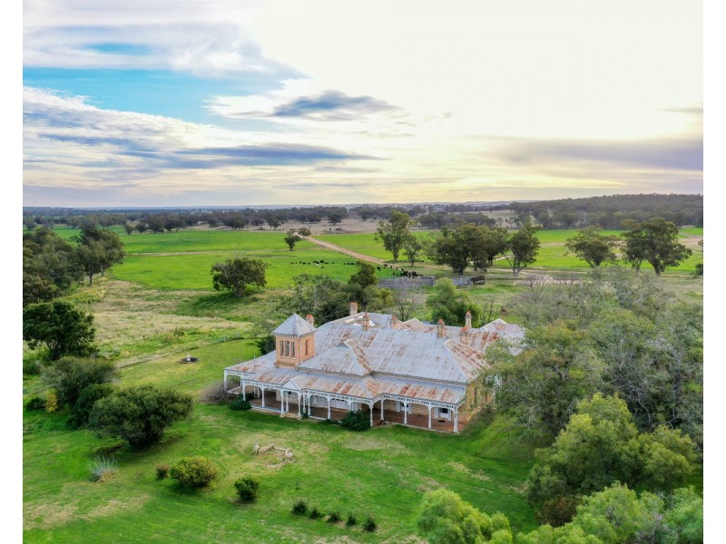 “Pine Ridge” Narangarie Road, Dunedoo NSW 2844