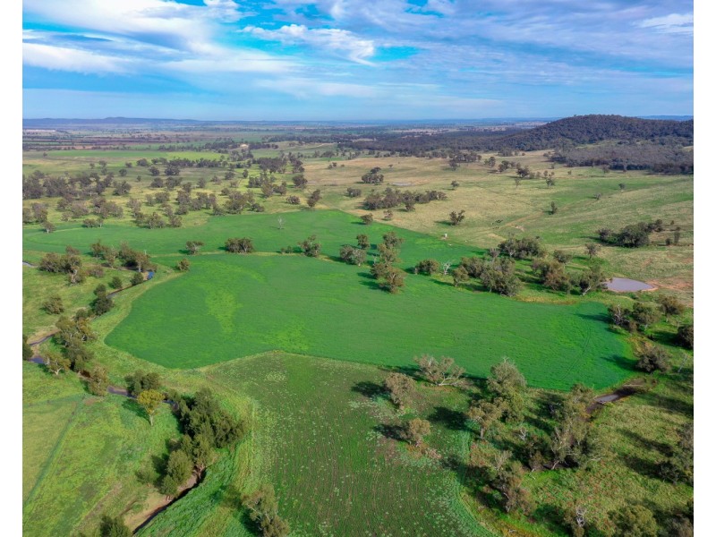 “Pine Ridge” Narangarie Road, Dunedoo NSW 2844