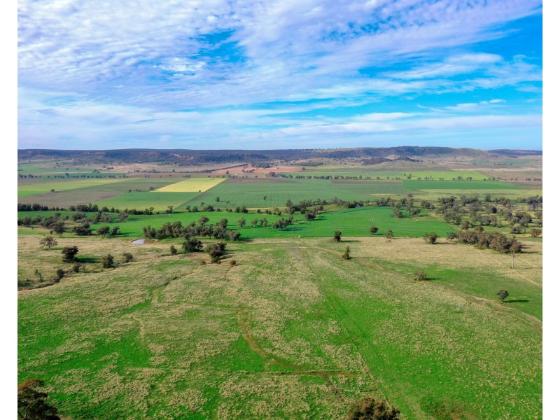 “Pine Ridge” Narangarie Road, Dunedoo NSW 2844