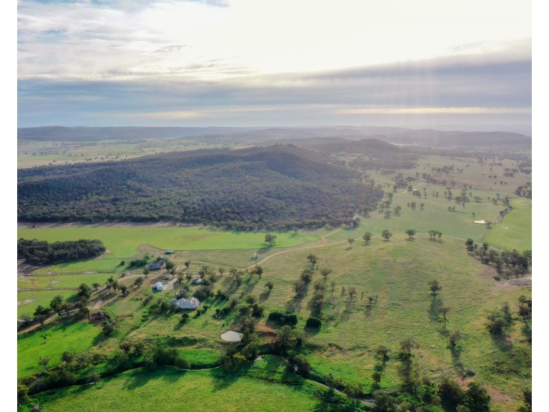 “Pine Ridge” Narangarie Road, Dunedoo NSW 2844