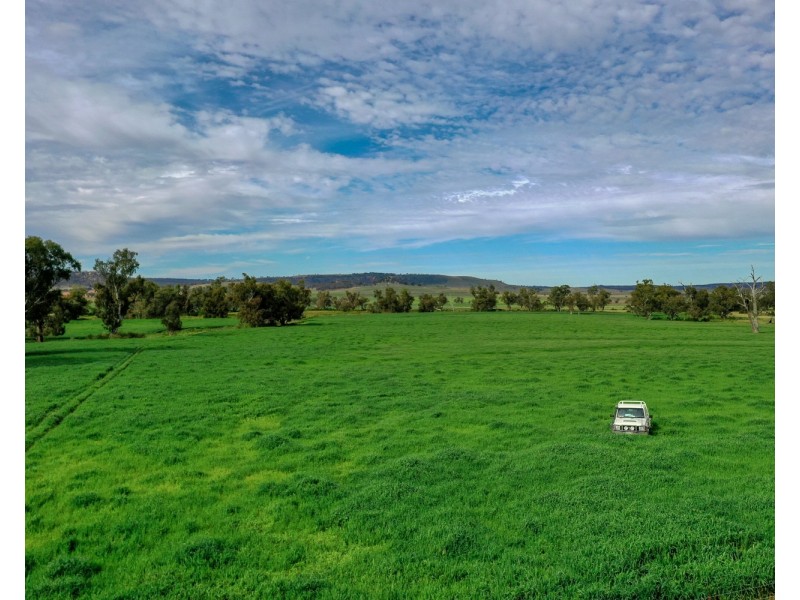 “Pine Ridge” Narangarie Road, Dunedoo NSW 2844