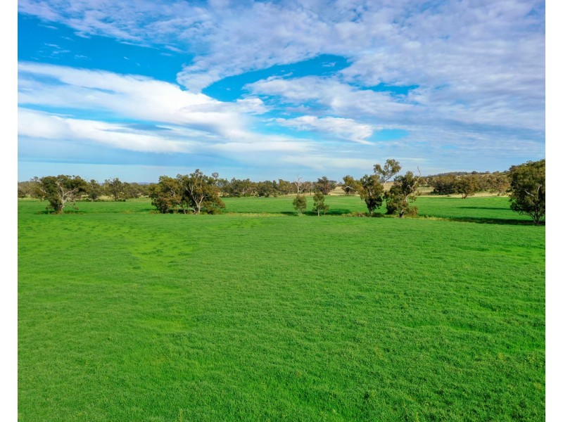 “Pine Ridge” Narangarie Road, Dunedoo NSW 2844