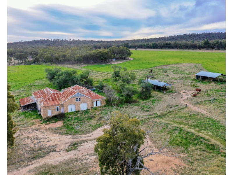 “Pine Ridge” Narangarie Road, Dunedoo NSW 2844