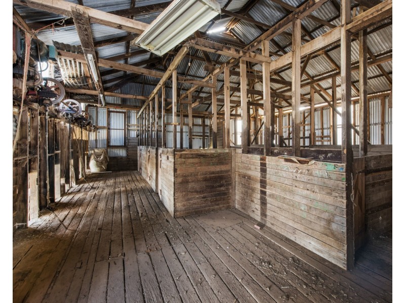 “Pine Ridge” Narangarie Road, Dunedoo NSW 2844