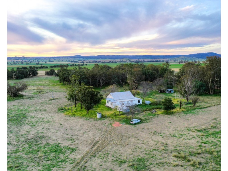 “Pine Ridge” Narangarie Road, Dunedoo NSW 2844