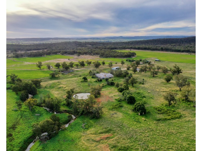 “Pine Ridge” Narangarie Road, Dunedoo NSW 2844