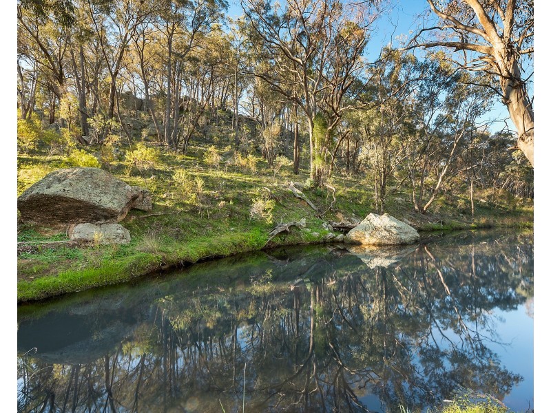 171 Wongaroo Road, Gulgong NSW 2852