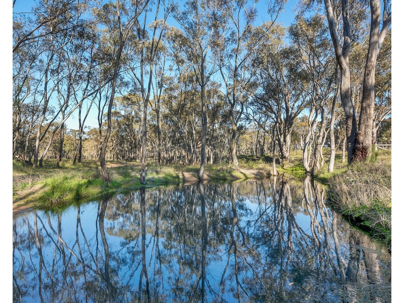 171 Wongaroo Road, Gulgong NSW 2852
