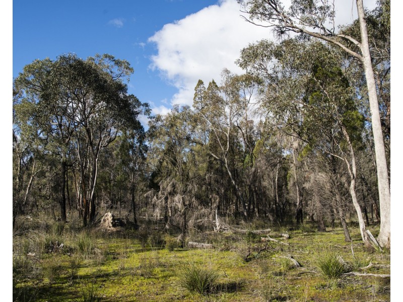 824 Yarrawonga Road, Mudgee NSW 2850