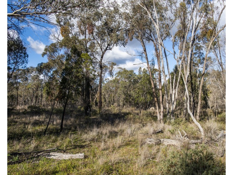 824 Yarrawonga Road, Mudgee NSW 2850