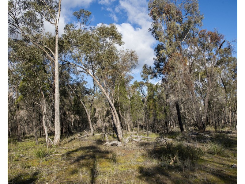 824 Yarrawonga Road, Mudgee NSW 2850