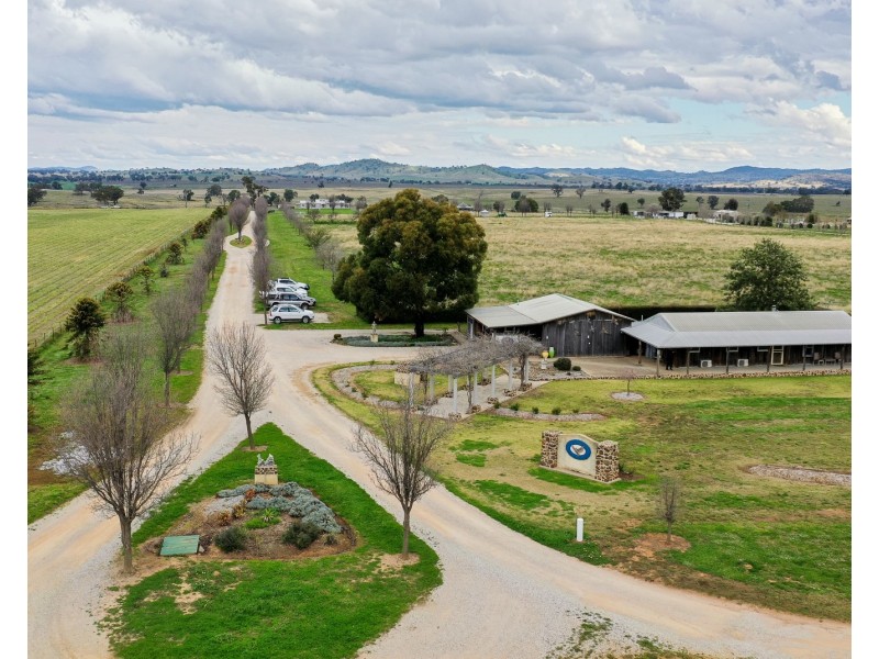 245 Bergalin Road, Gulgong NSW 2852