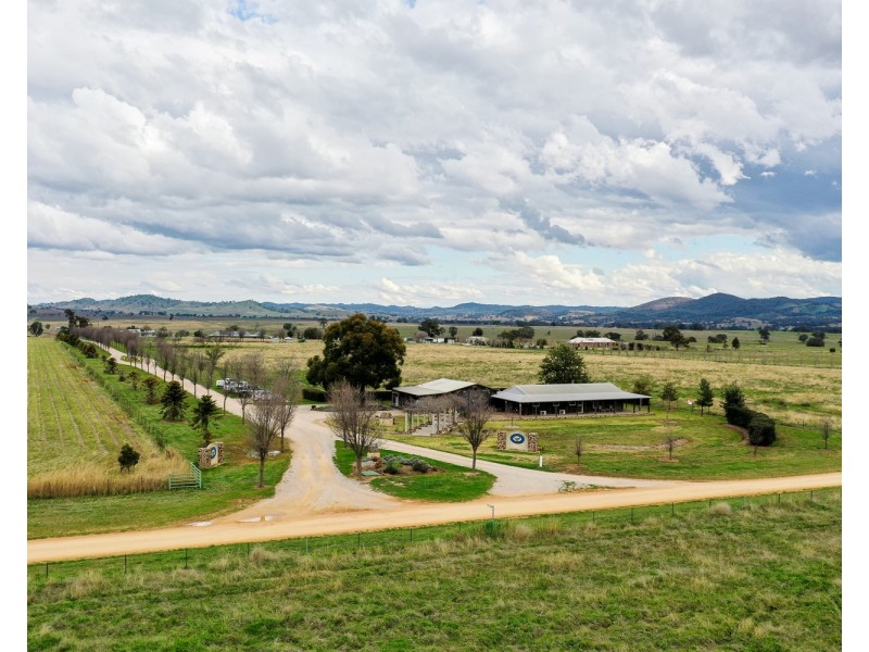 245 Bergalin Road, Gulgong NSW 2852