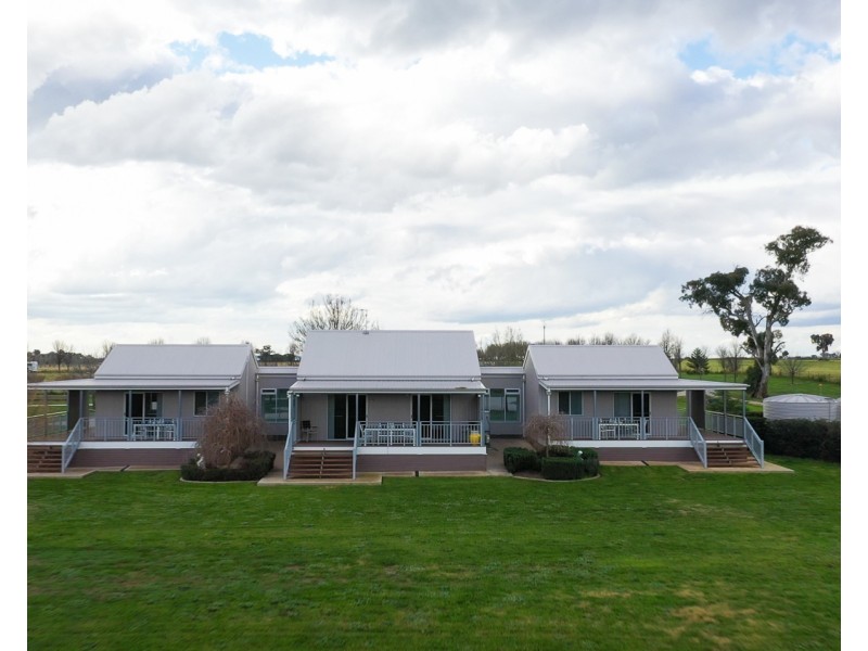 245 Bergalin Road, Gulgong NSW 2852