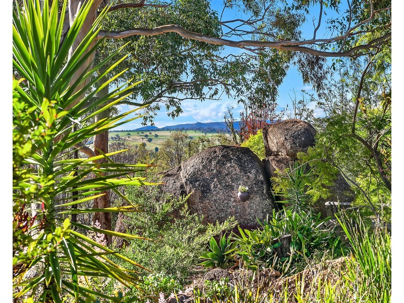 98 Bobadah Road, Mudgee NSW 2850