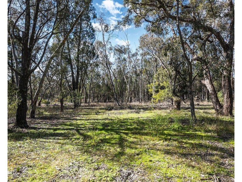 754 Yarrawonga Road, Mudgee NSW 2850