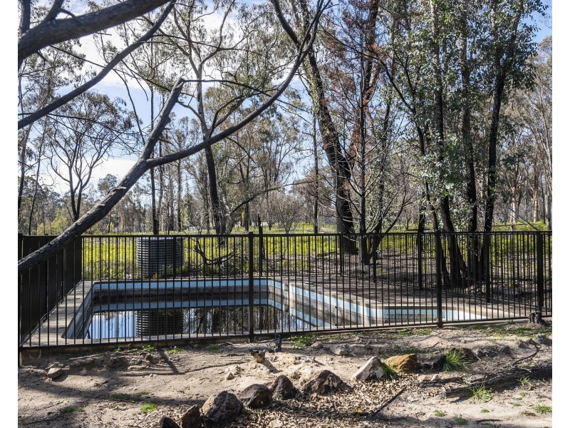 401 Reedy Creek Road, Rylstone NSW 2849