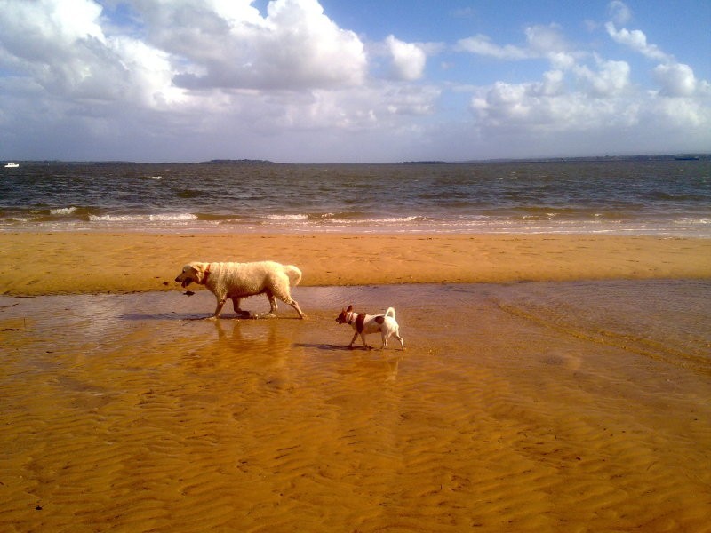 13 Cowrie Street, Bowen QLD 4805