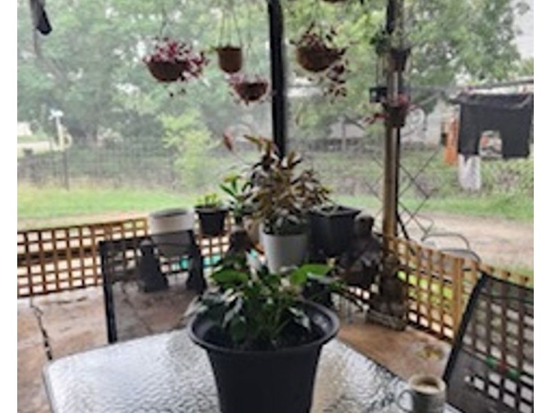 55 Belmore Street, Collinsville QLD 4804