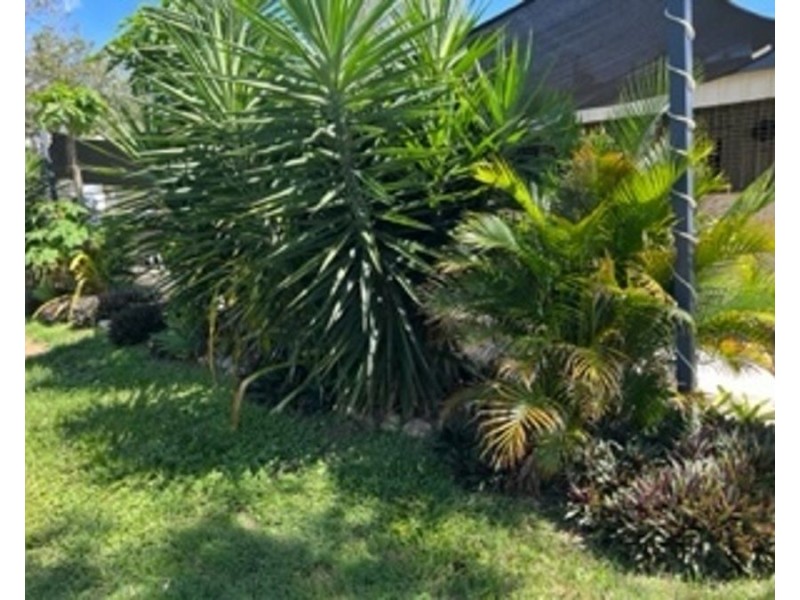 5 Gralton Street, Collinsville QLD 4804