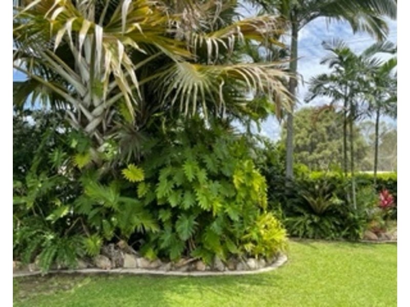 Collinsville QLD 4804