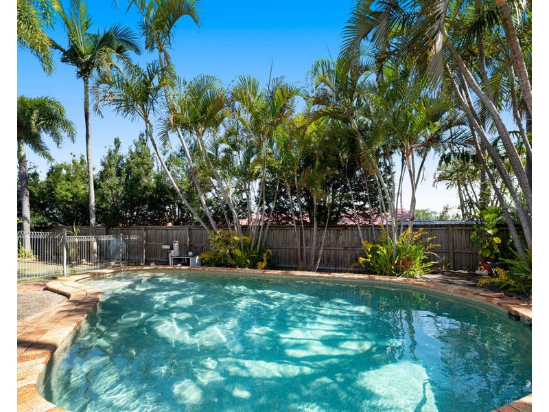 16 Mesquite Street, Sunnybank Hills QLD 4109