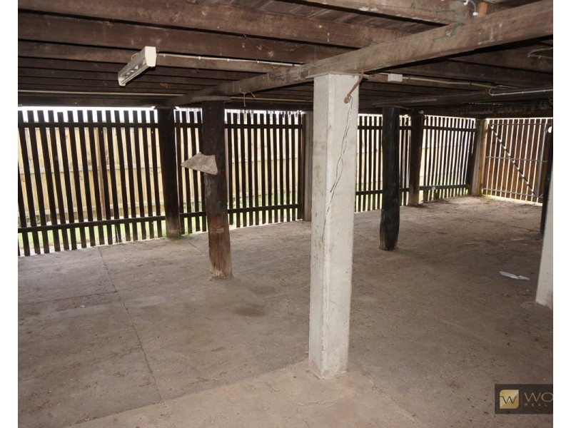 52 Lisson Grove, Wooloowin QLD 4030