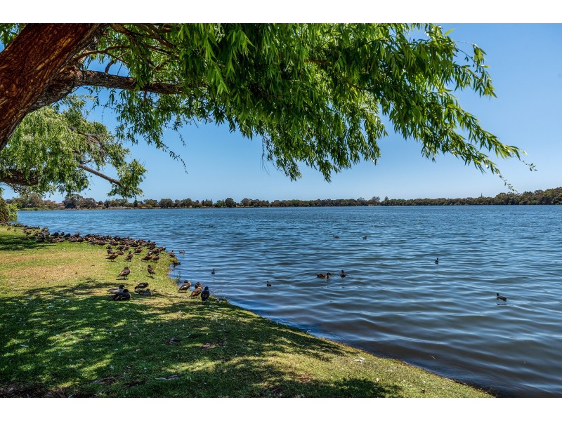 2/71 Ruislip Street, Wembley WA 6014