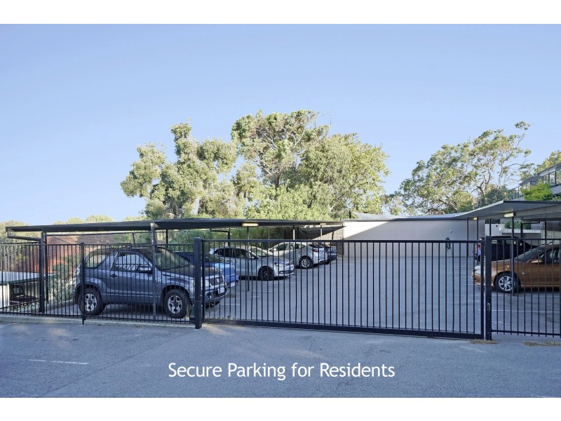 11/288 Ravenscar Street, Doubleview WA 6018