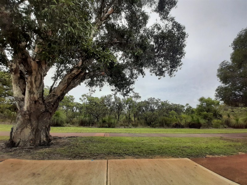 20 Wythburn Avenue, Balga WA 6061