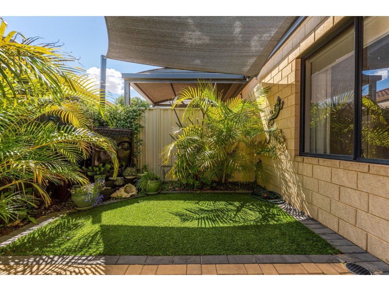 7/259  Albert Street, Balcatta WA 6021