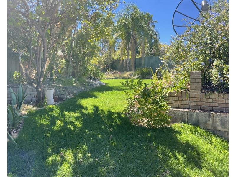 6 Bona Close, Willetton WA 6155