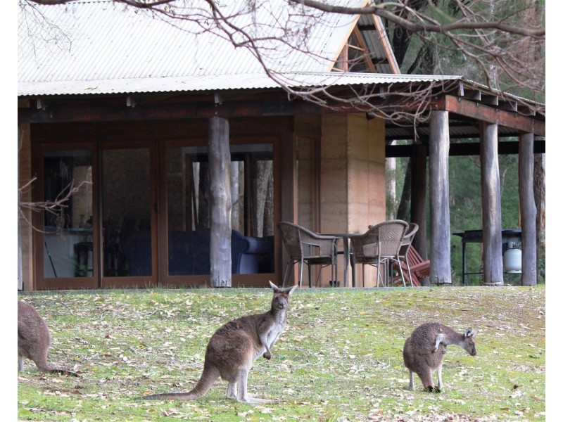 388 Old Vasse Road, Yeagarup WA 6260