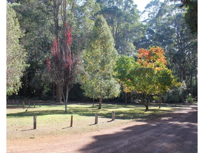 388 Old Vasse Road, Yeagarup WA 6260